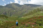 80 Tra distese di rododendri con vista in Cimone